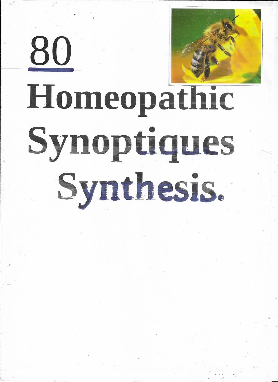 80  Synoptiques - Synthesis | Auto-Evaluation aux remèdes Homeopathiques