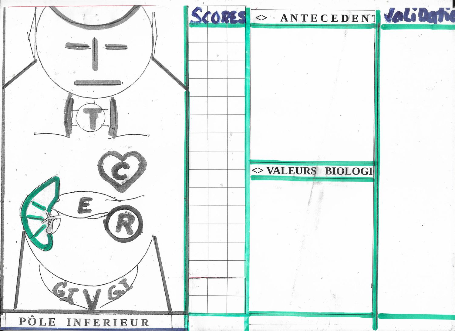 DOCUMENT UNIQUE AUTO-EVALUATION Homéopathique***