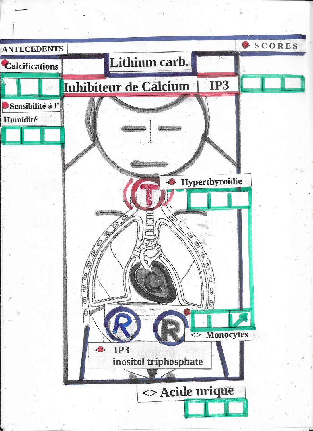 Lithium carb. - synoptique
