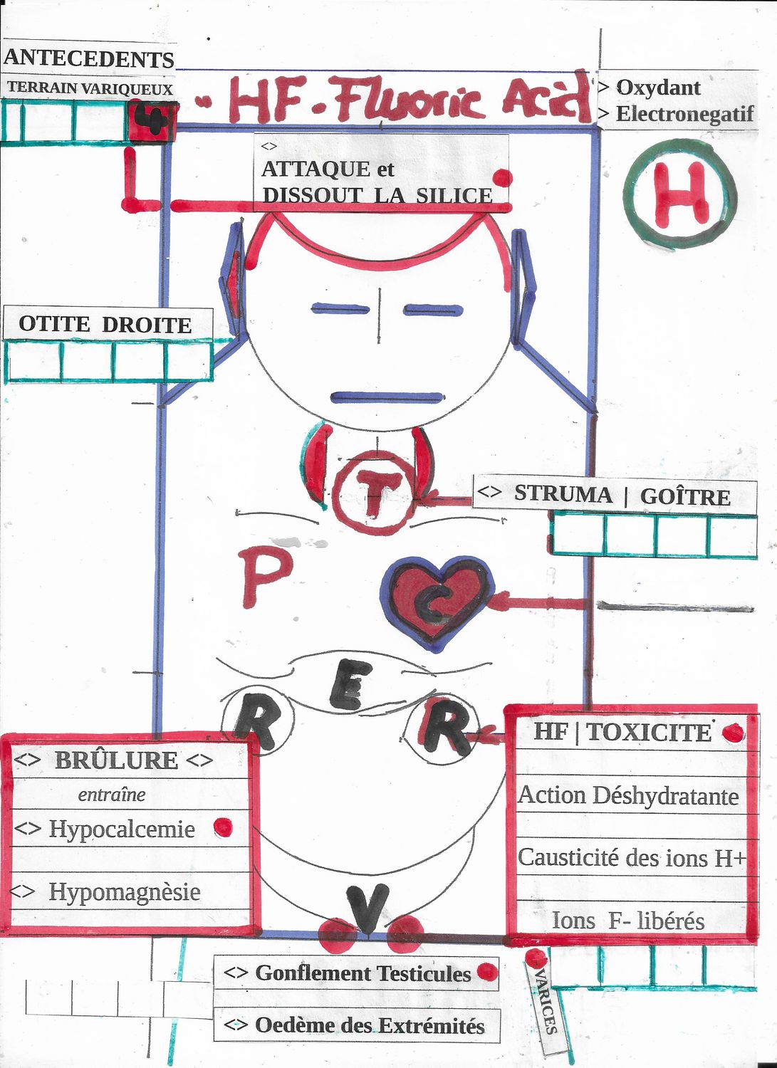 Fluoric acid | HF | synoptique