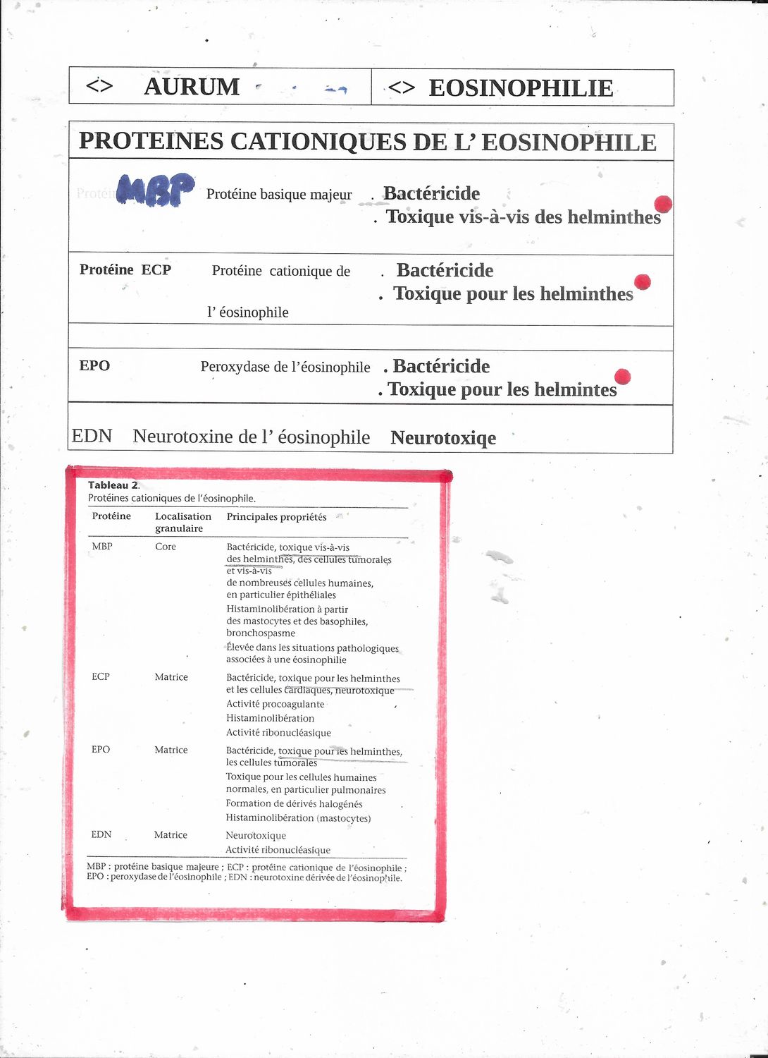 Médiateurs de l' éosinophile | Bactéricide et Toxique pour les Helminthes