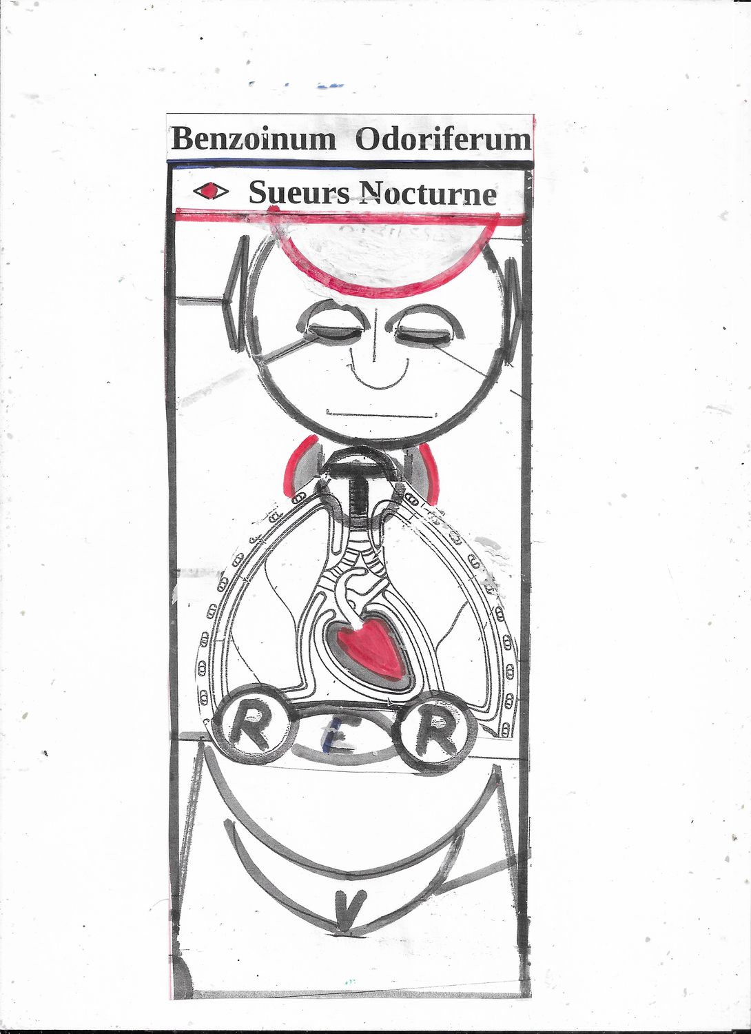 Benzoinum odoriferum | Synoptique | Sueurs nocturne
