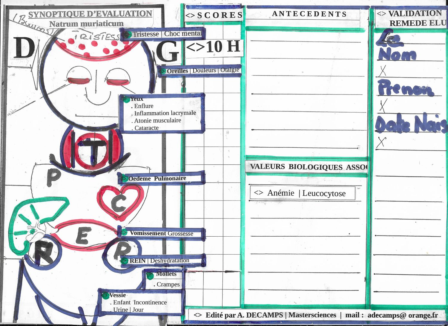 1AA | Document unique  | Synoptique + Antécédents + Scores + Valeurs biologiques associées + Validation du Remède élu ...