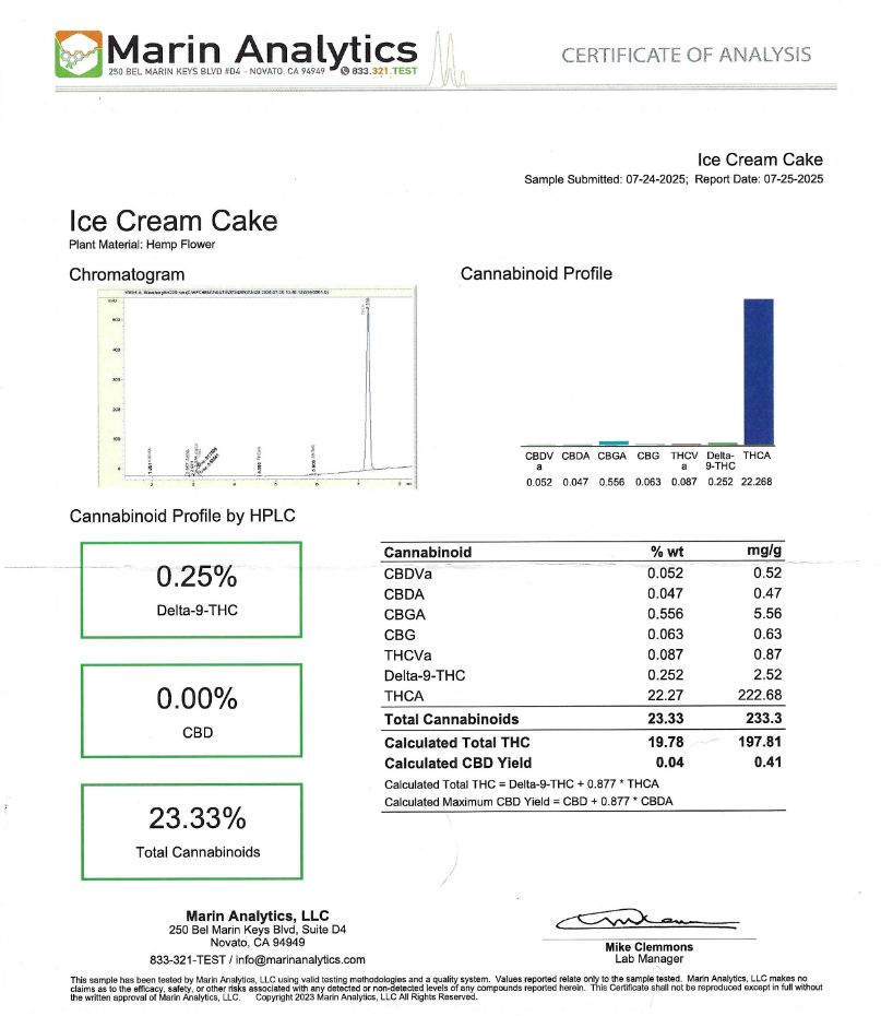 Ice Cream Cake (Hybrid)