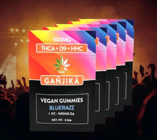 Gummies (500mg single serve)