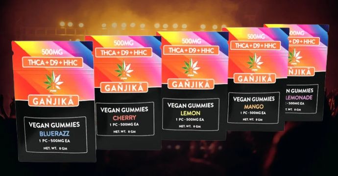 Gummies (500mg single serve)