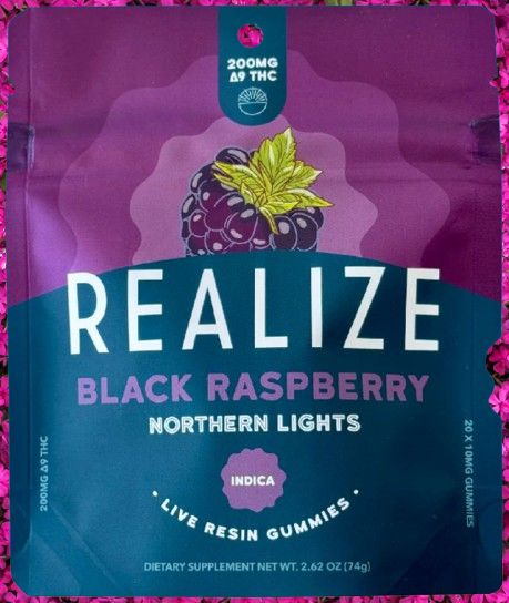 Northern Lights Northern Lights