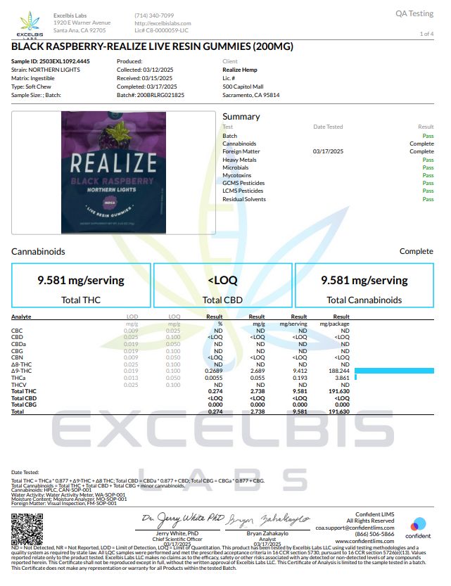 Northern Lights Northern Lights