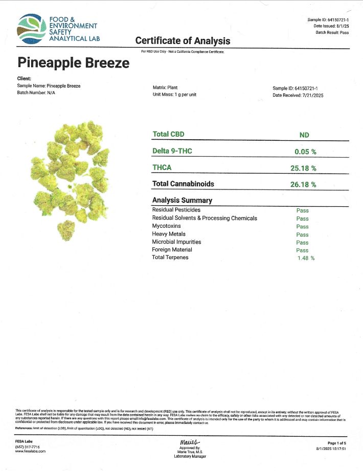 Pineapple Breeze (Hybrid)