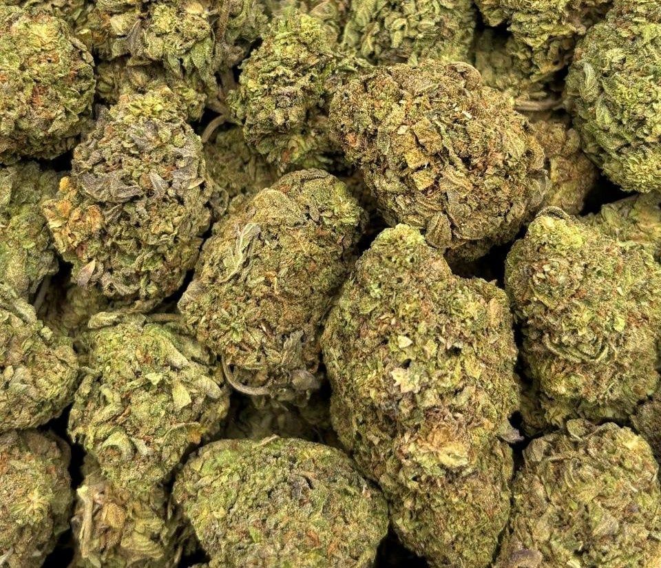 Sour Diesel (Hybrid), Quantity: 1g,