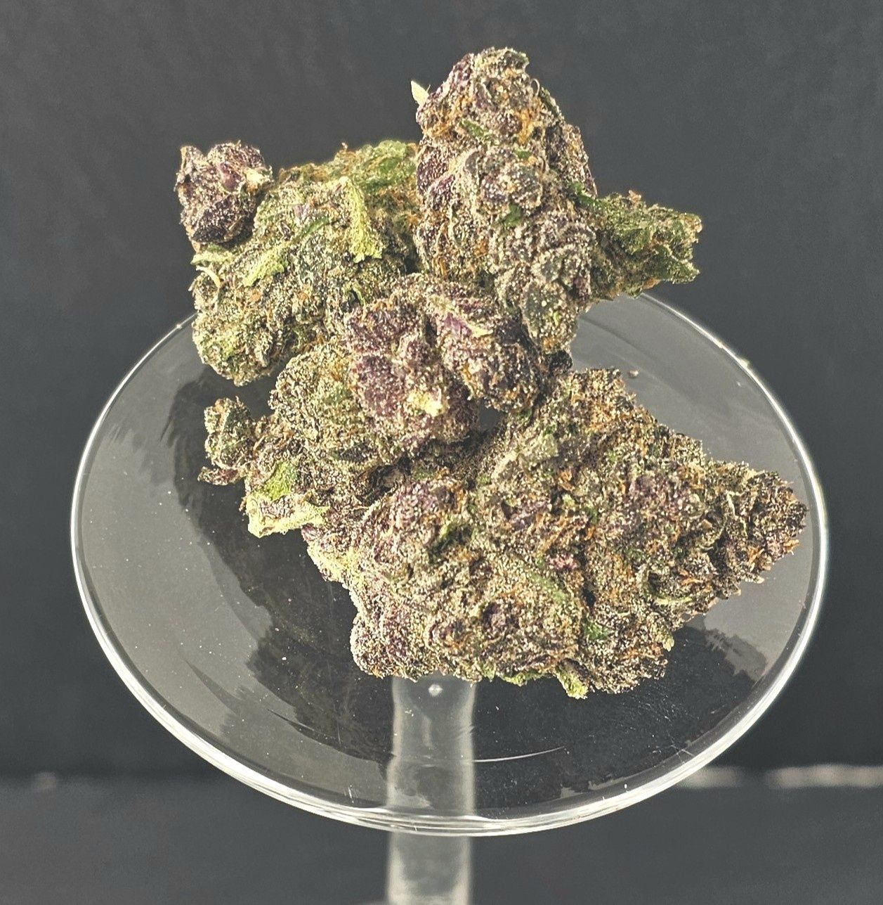 Halle Berry (Sativa)