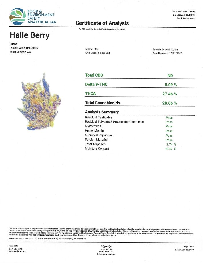 Halle Berry (Sativa)