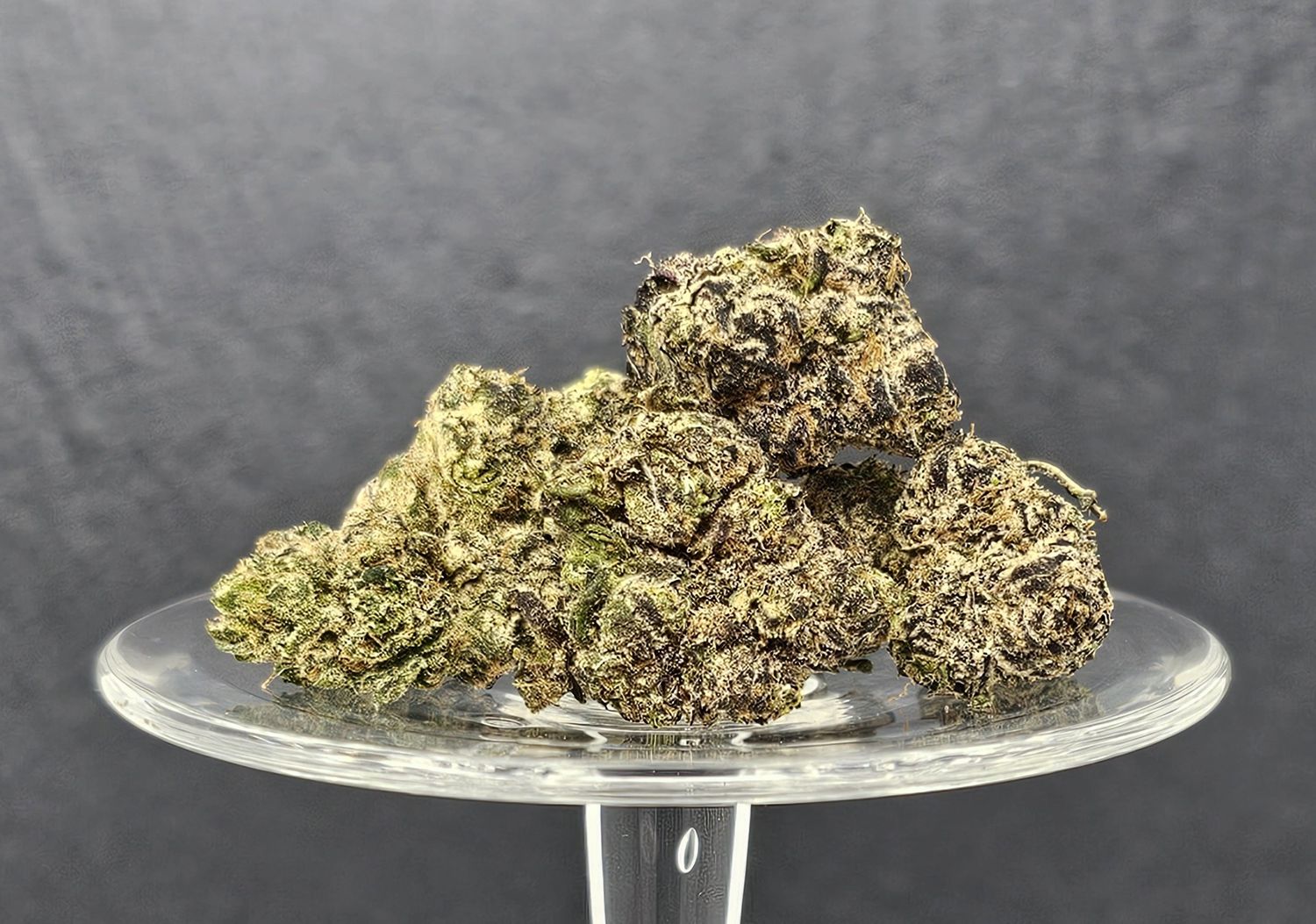 Alien Fritter (Indica), Size: 1g
