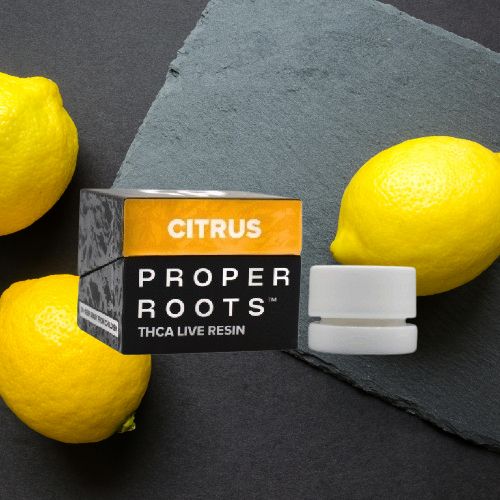 Super Lemon Haze Live Resin (Sativa) Super Lemon Haze Live Resin (Sativa)