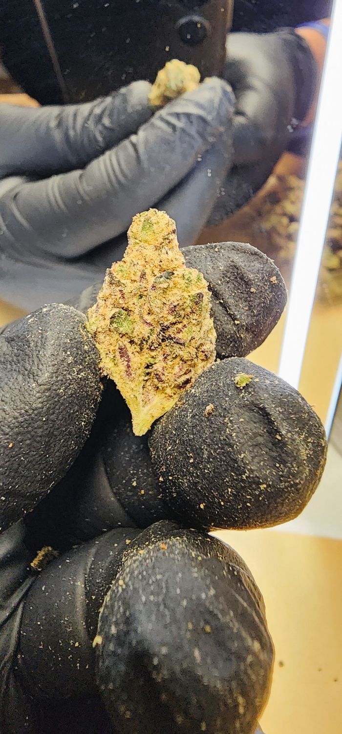 Gas Face (Hybrid), Quantity: 1g