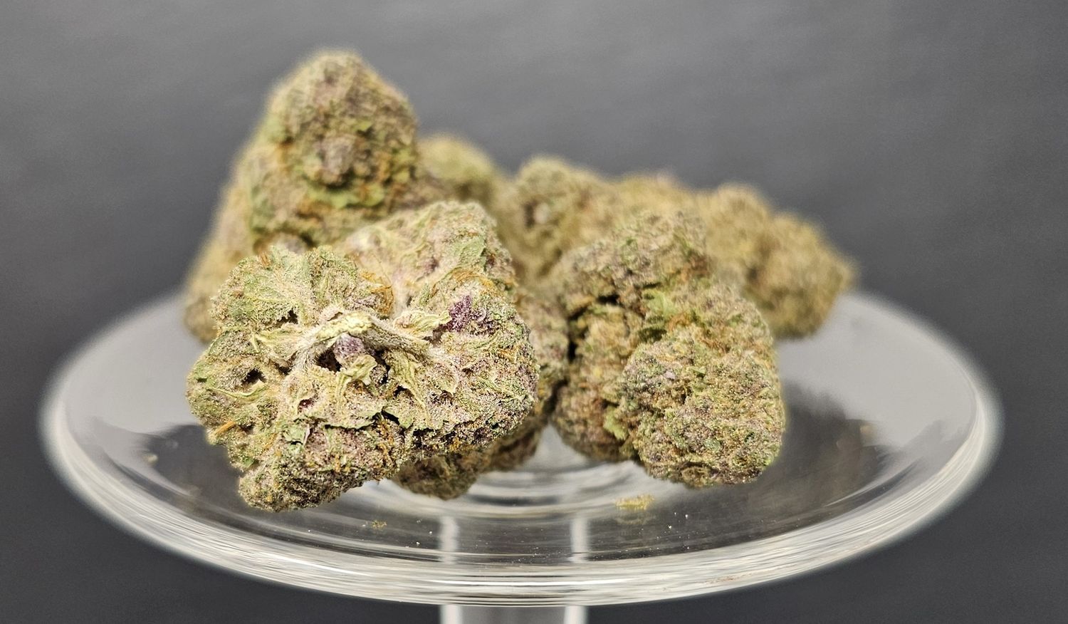 Tropicana Cherry (Hybrid)