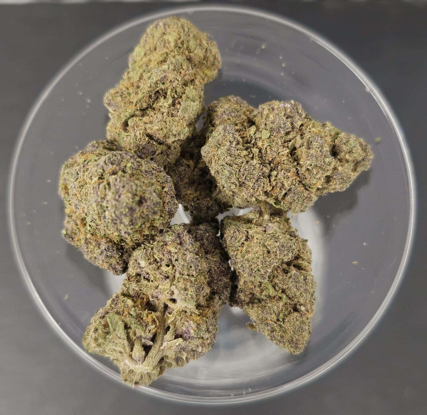Tropicana Cherry (Hybrid)