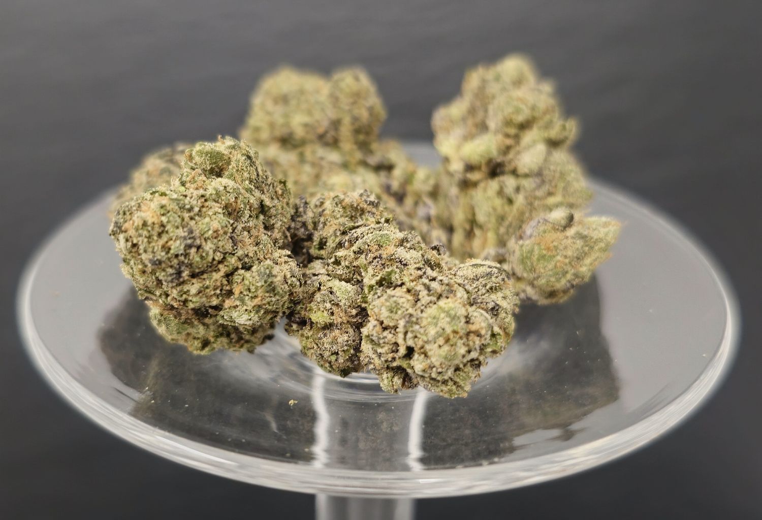 Lemon Cherry Sherbet (Hybrid)