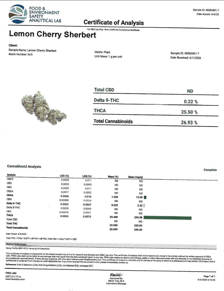 Lemon Cherry Sherbet (Hybrid)