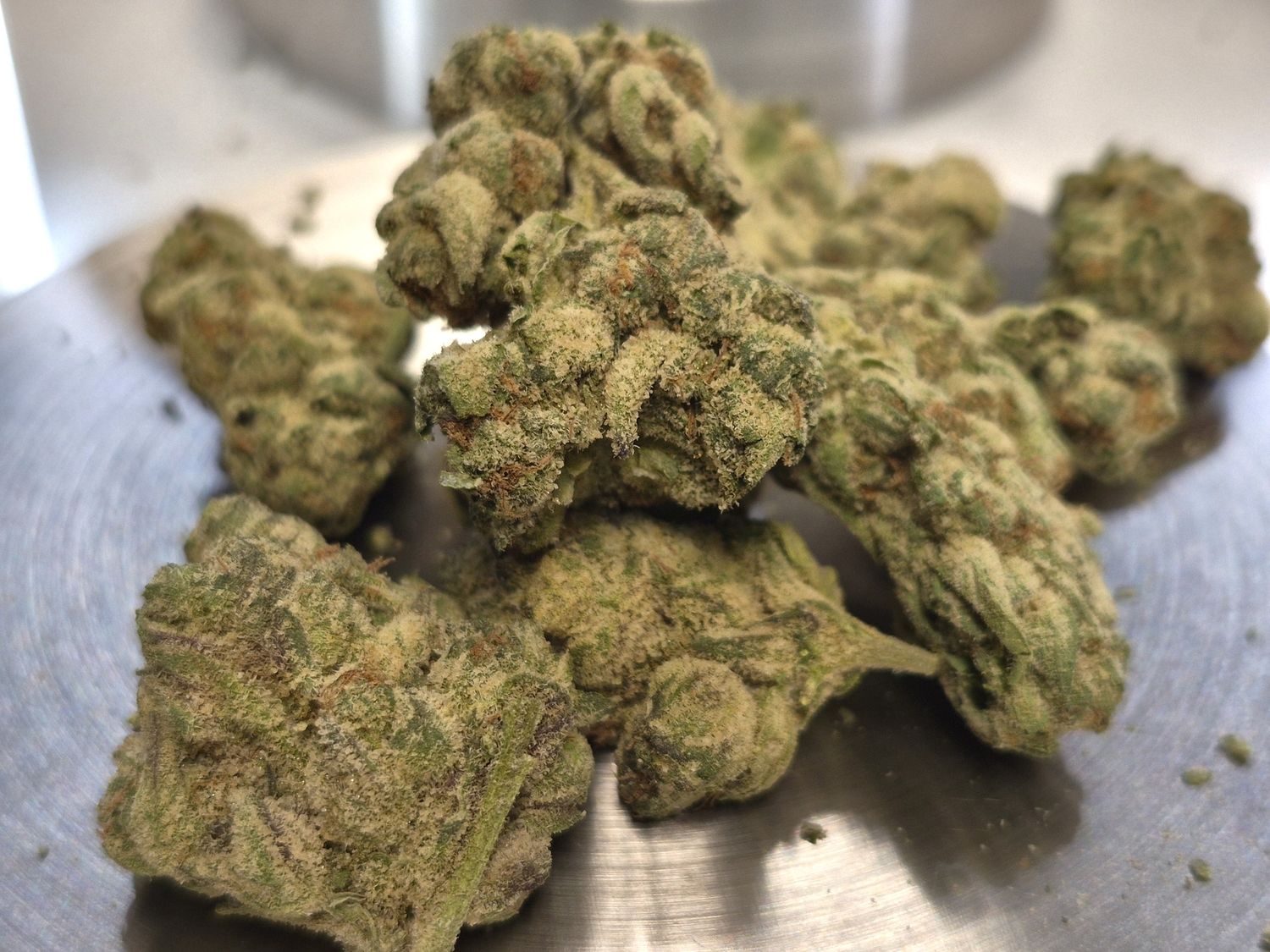 Ghost Train Haze (Sativa)