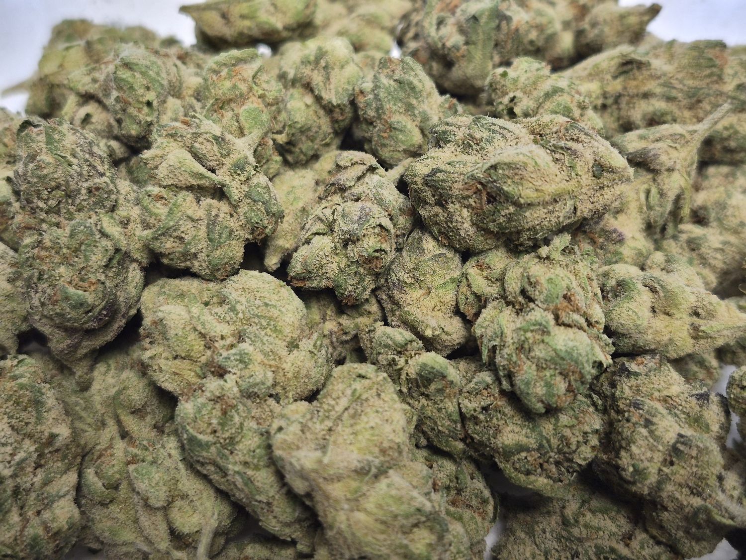 Ghost Train Haze (Sativa)