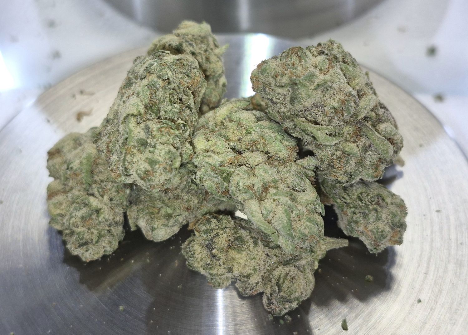 Ghost Train Haze (Sativa)