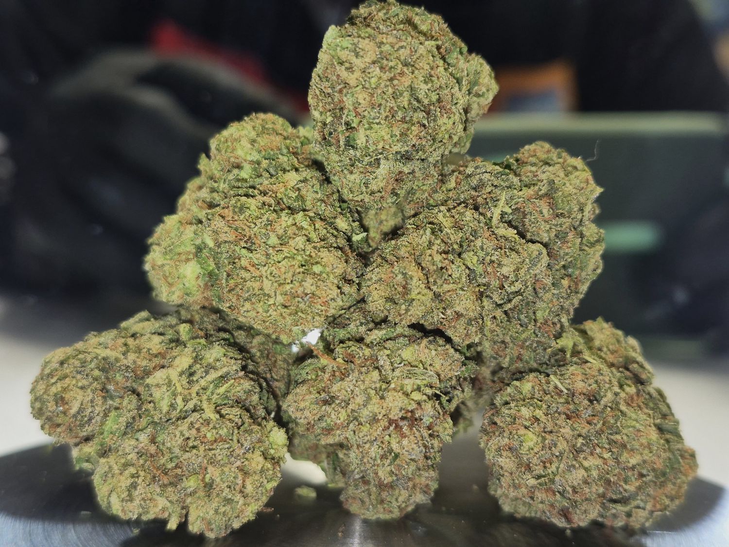 White Durban (Sativa)