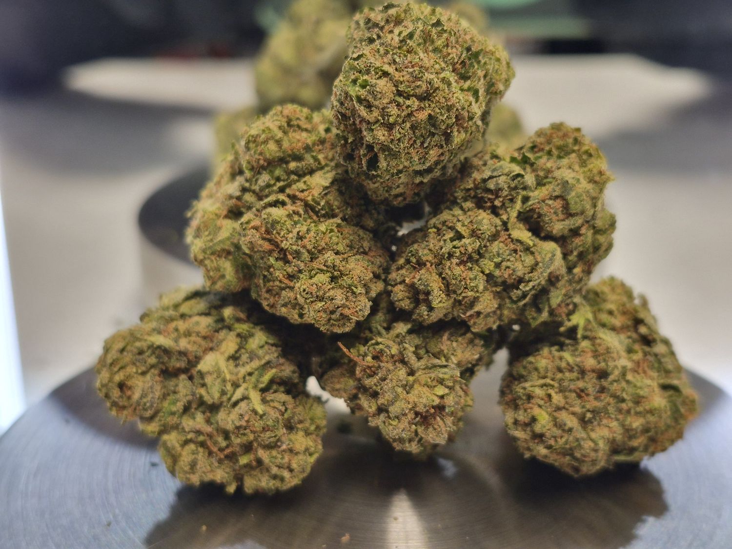 White Durban (Sativa)