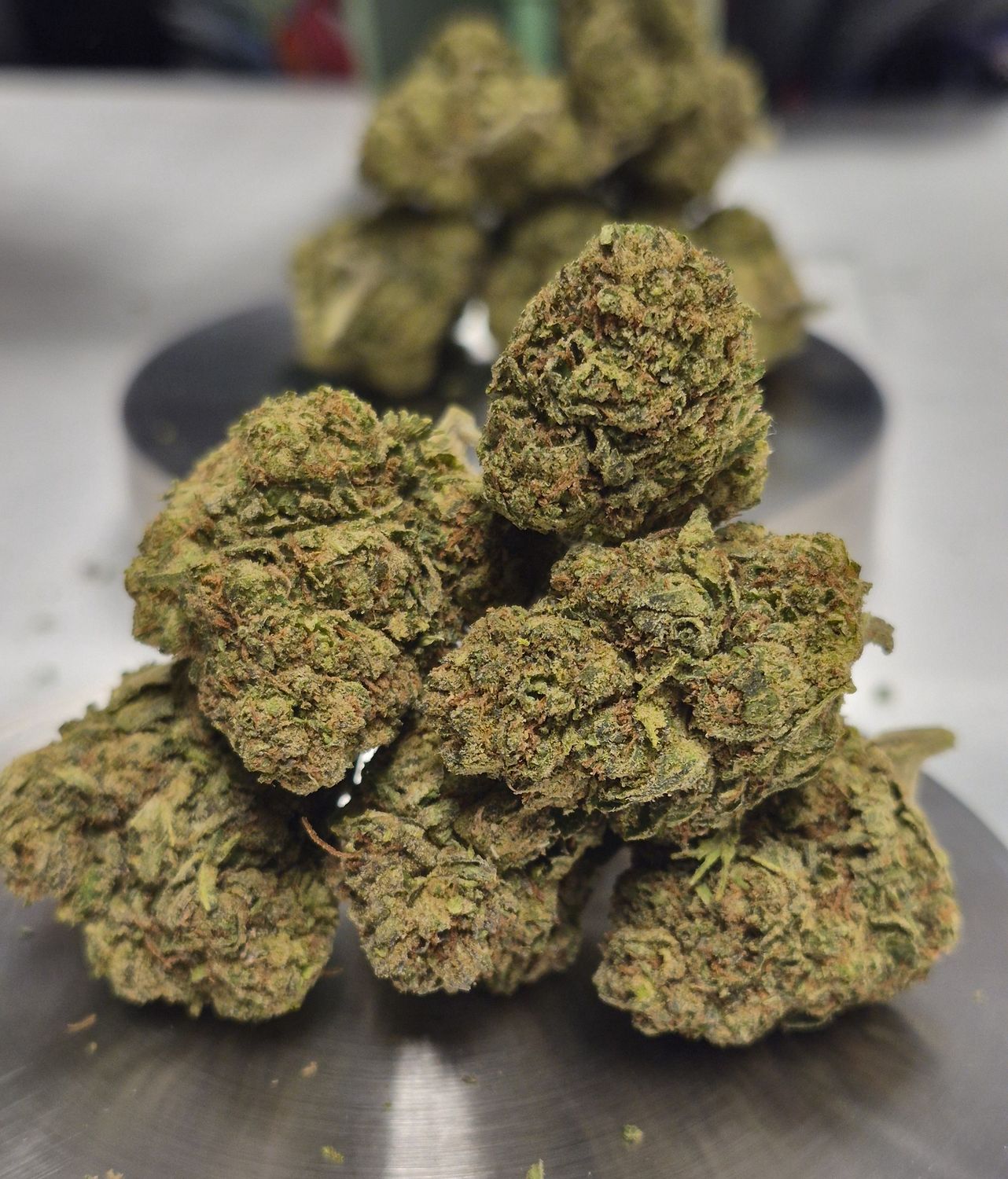 White Durban (Sativa)