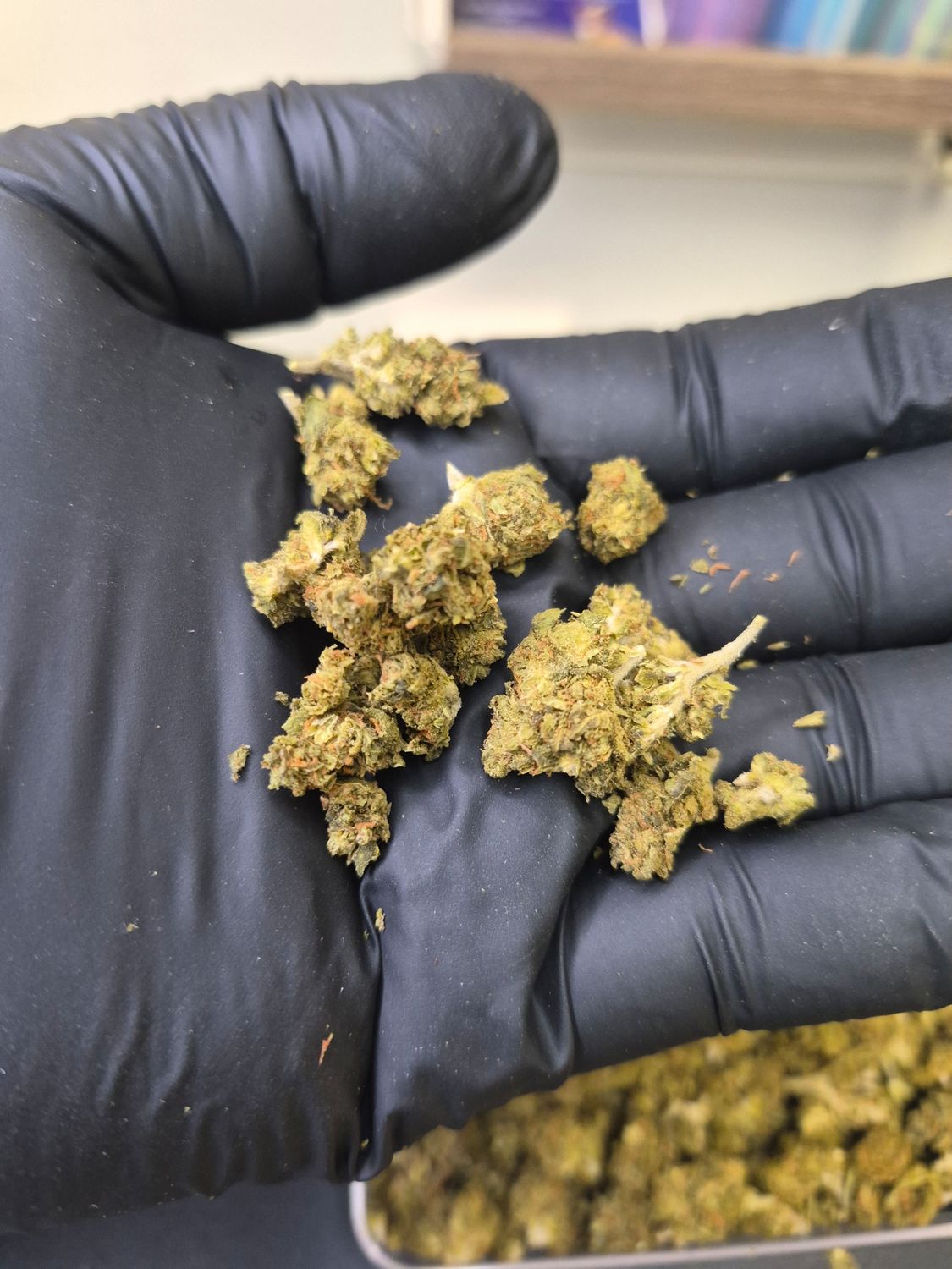 (SMALLS) Super Lemon Haze - Sativa