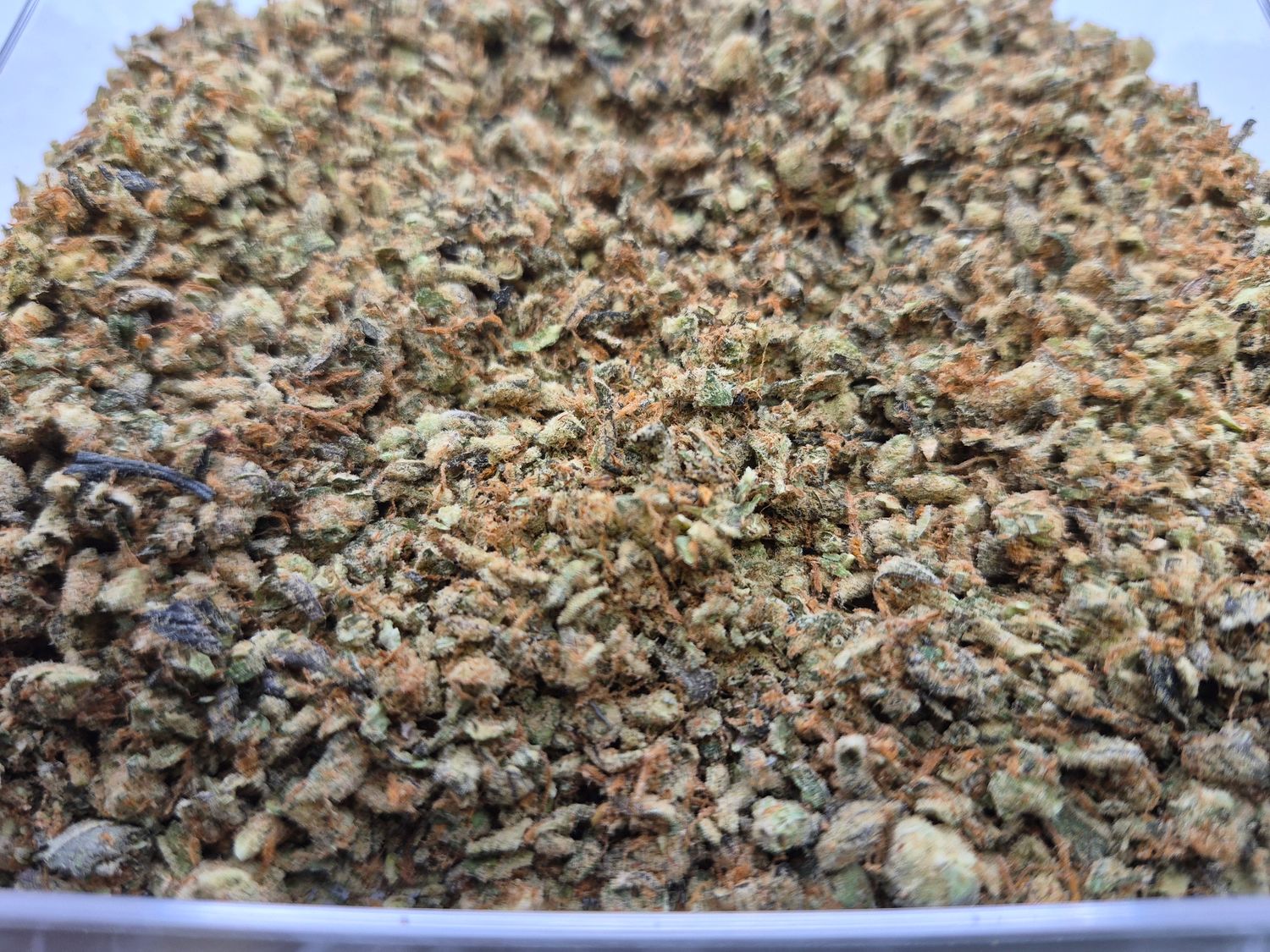 (Shake) Tropicana Cherry Cookies - Hybrid