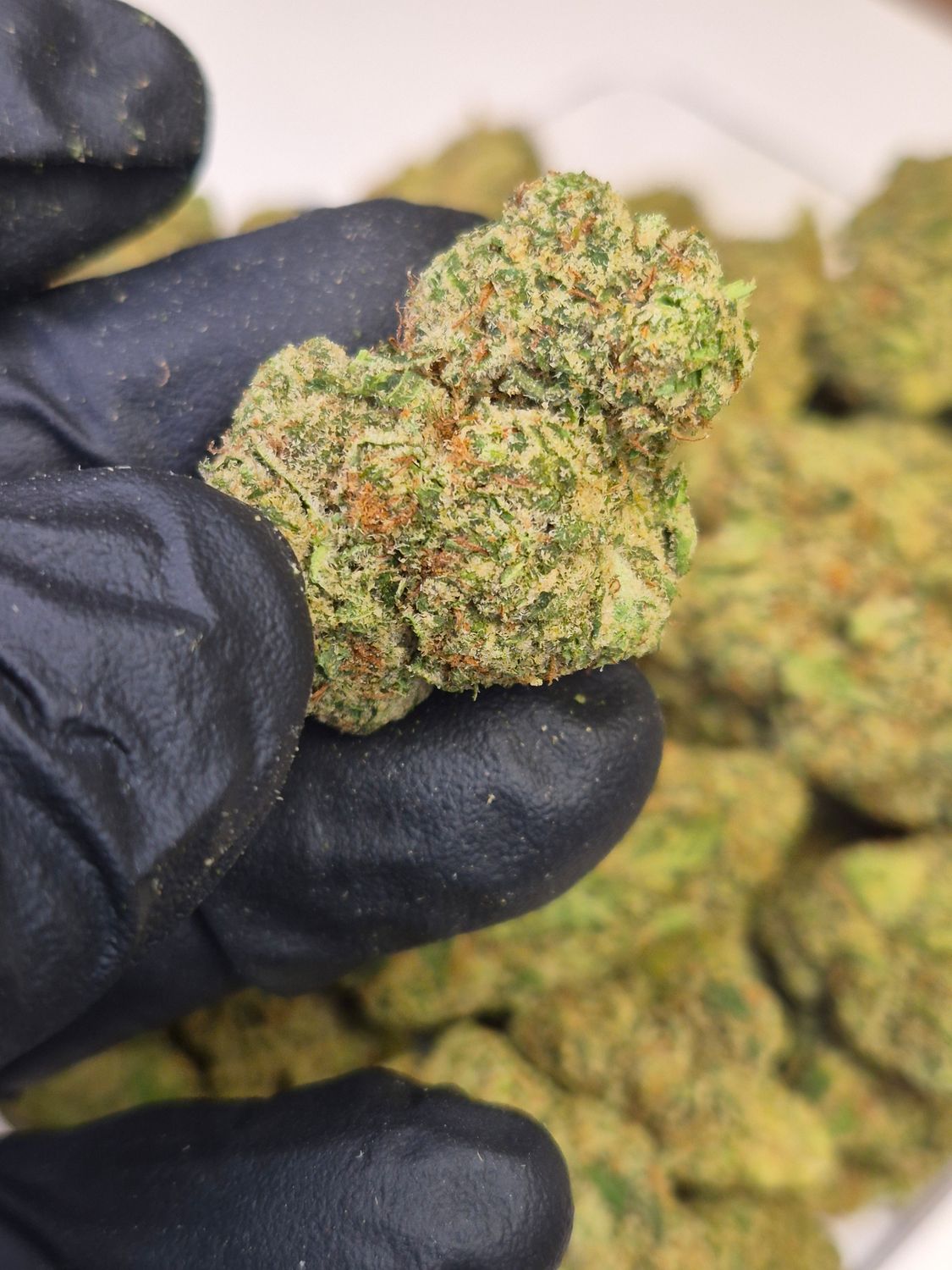 Blue Meteorite (Hybrid)