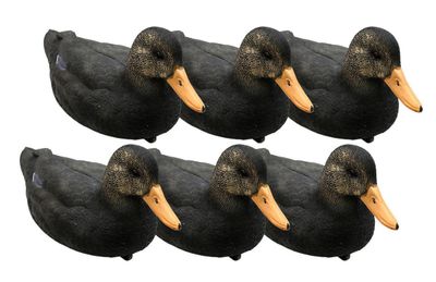 GAME ON 20" BLACK DUCK X 6