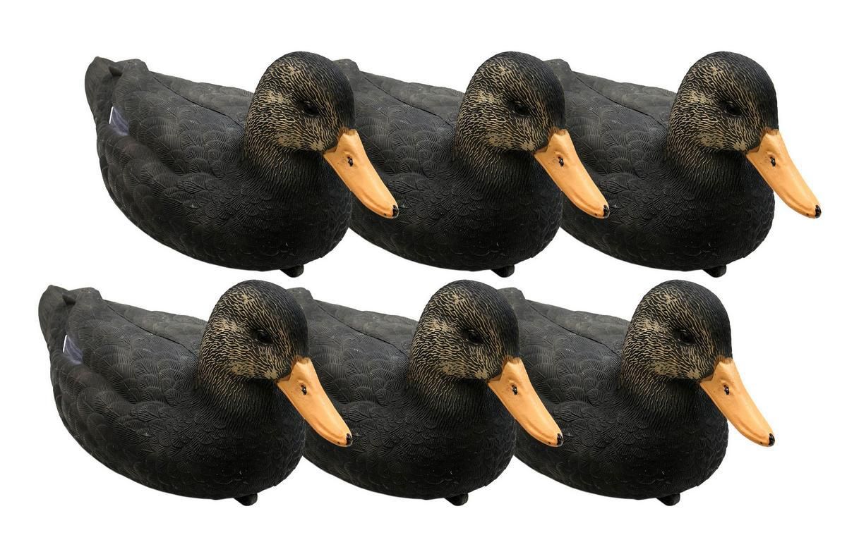 GAME ON 20" BLACK DUCK X 6