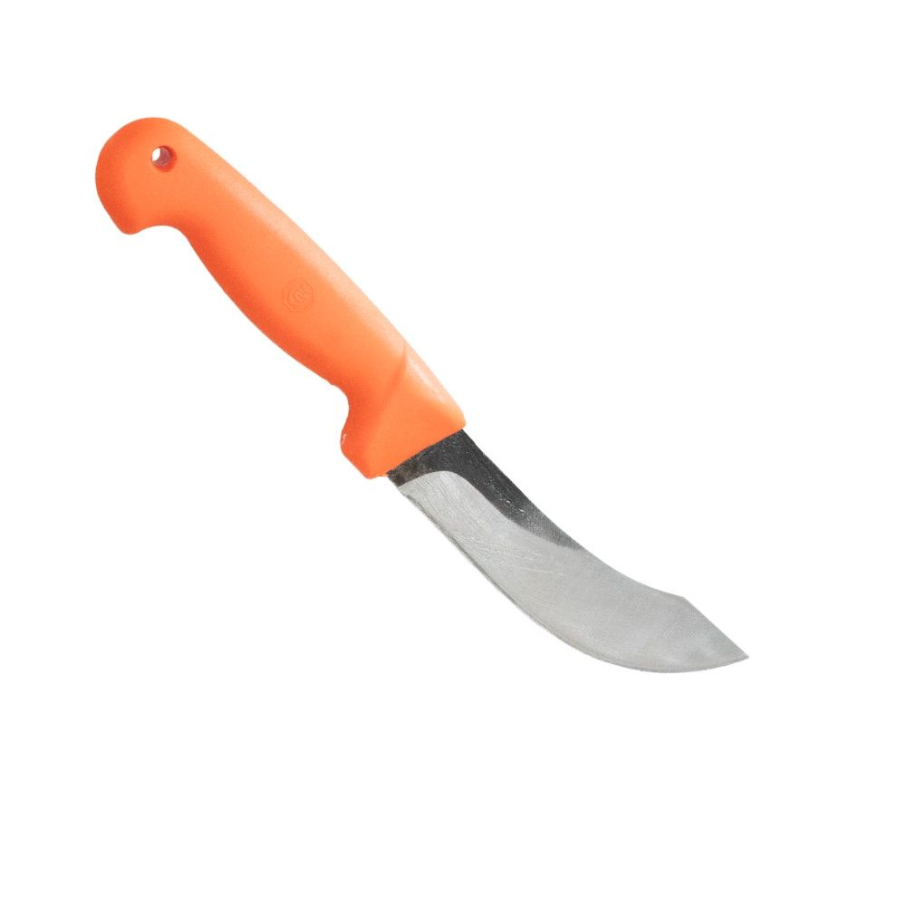 SVORD KIWI CURVED SKINNER KNIFE 6"