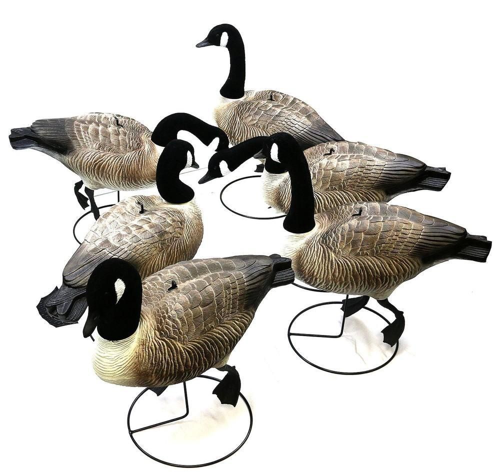 GAME ON C/GOOSE F/BODY FLOCKED HEAD X6