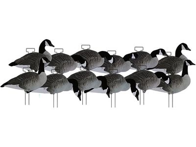 DAKOTA CANADA SILHOUETTES FLOCKED X12