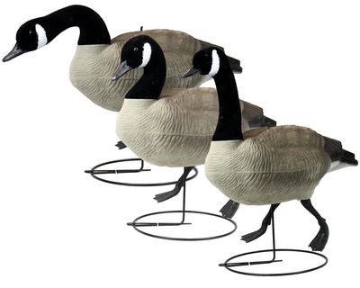 GAME ON CANADA GOOSE F/BODY FLOCKED X6