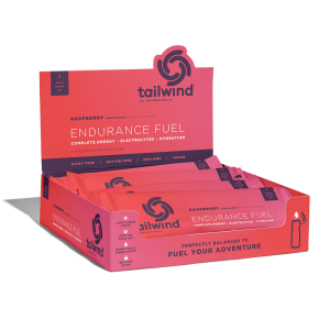 Tailwind Endurance Fuel Singles