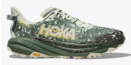 M SPEEDGOAT 6 GTX, COLOR: Sea Glass/Fern, Size: 8