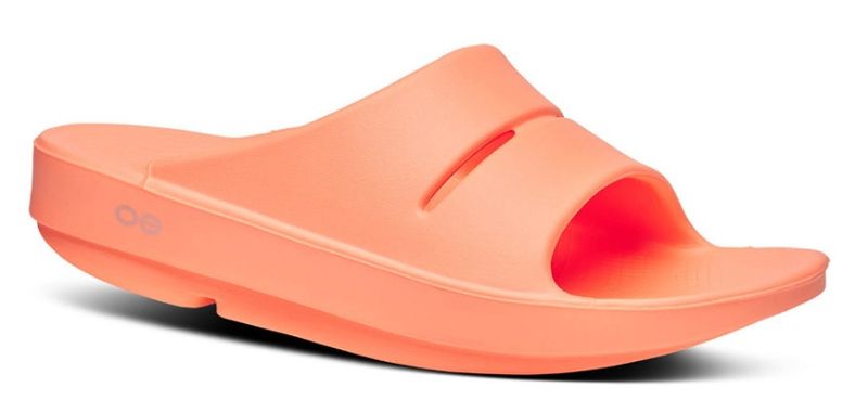 Ooahh Unisex Sunburst