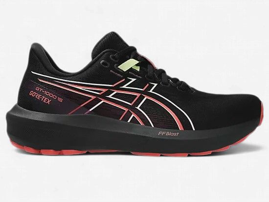 Asics Women's GT 1000-15 Gtx