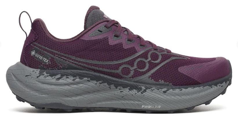 Saucony Women's Ride TR3 gtx