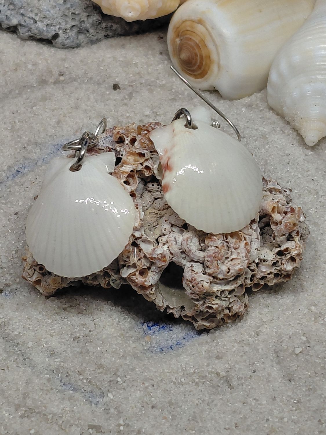 Scallop Dangle Earrings