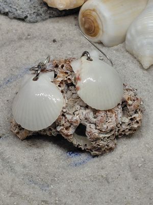 Scallop Dangle Earrings