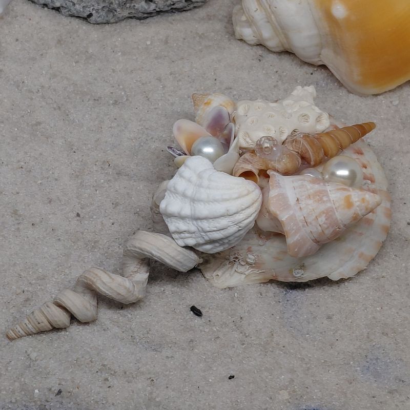 Magnet in Horseshoe Crab Shape