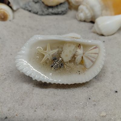 Custom "Shells with Shells" Magnet