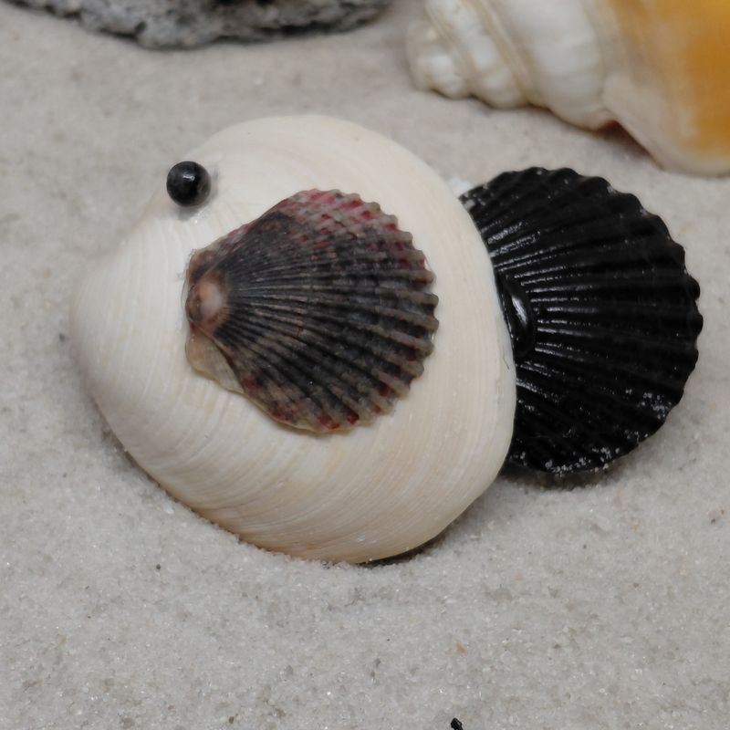 Natural Shell Magnet in the shape of a fish