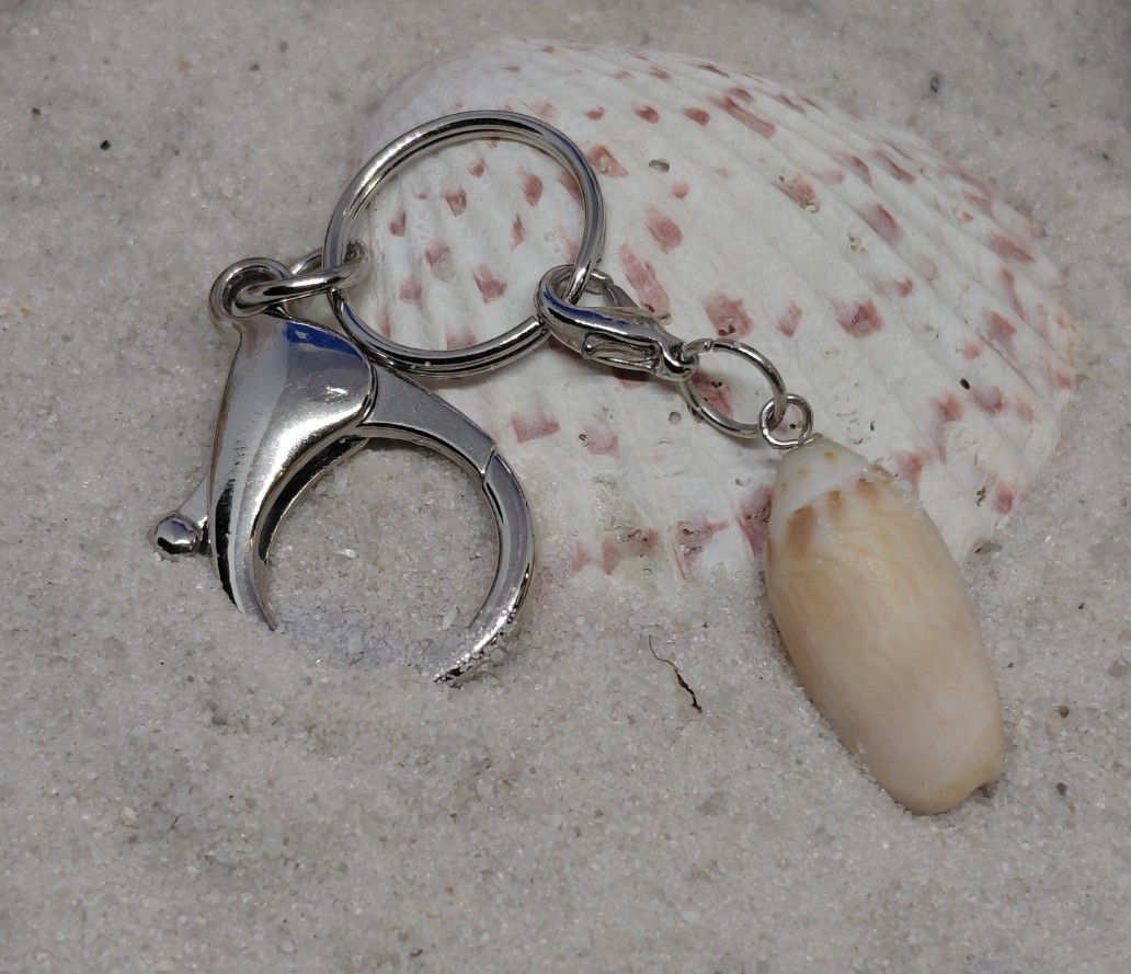 Small Olive Shell on Gold Keychain