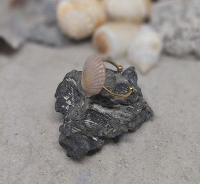 Pink Scallop on Adjustable Stainless Silver Ring